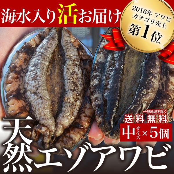 宮城県産 天然 活エゾアワビ（中サイズ5個→合計500〜650g）刺身 ステーキ 国産 あわび