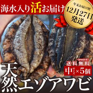 年末12/28出荷◎宮城県産 金華山の天然活エゾアワビ（5個）冷蔵