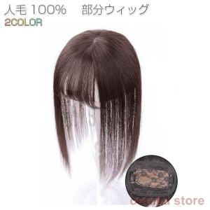 部分ウィッグ 人毛100% トップカバー 薄毛 白髪隠し 医療用ウィッグ 総手植え 自然 小顔効果 増毛 分け目 つむじ 女性用 つけ毛　wig かつら 30cm