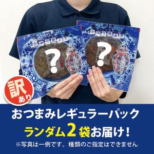 訳あり おつまみ おまかせレギュラーパック2点...の詳細画像3