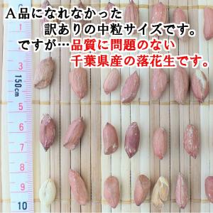 千葉県産 素煎り落花生 中粒 200g 無塩 ...の詳細画像1