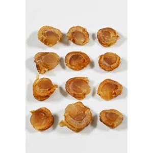 国産 浜焼き ほたて貝 145g 帆立 の う...の詳細画像2