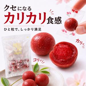 国産 カリカリ梅 個包装 梅干し おやつ おつ...の詳細画像4