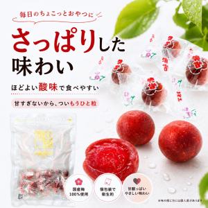 国産 カリカリ梅 個包装 梅干し おやつ おつ...の詳細画像5