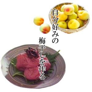 博屋 梅漬用 赤しそ 500g x 1袋 生梅...の詳細画像1