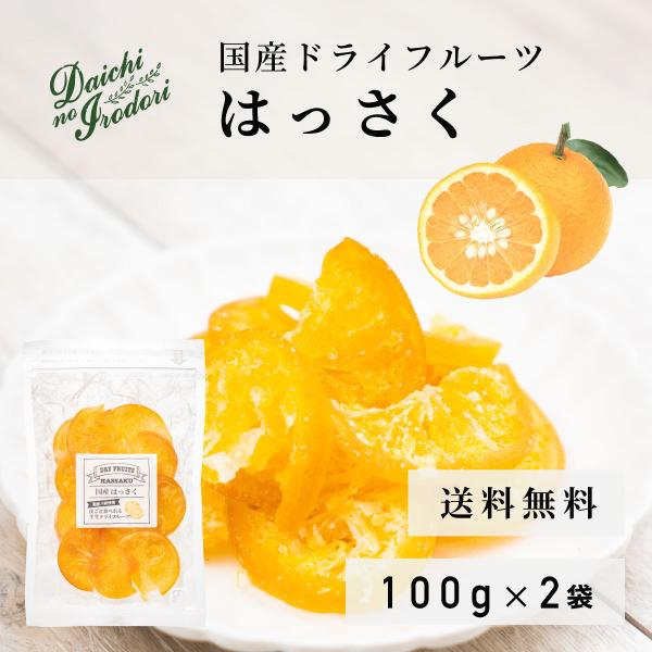 博屋 ドライフルーツ 国産  はっさく 100g x 2袋 ドライ 果実 送料無料 チャック袋入り