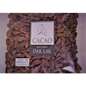 手作りチョコも直輸入カカオ豆　ポスト投函 送料無料　Dak Lak産（ベトナム）５００ｇ