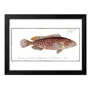 ポスター 0138 海洋生物 ビンテージ 絵画 インテリア A3サイズ アート 新築祝い ギフト 模様替え 北欧 管理ID: