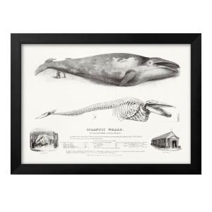 ミロ アートポスター-月で吠える犬(483×590mm) ジョアン・ミロ