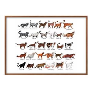 日本製 ポスター 0350 猫の品種コレクション 絵画 インテリア A3サイズ アート 新築祝い ギフト 模様替え 北欧 管理ID: