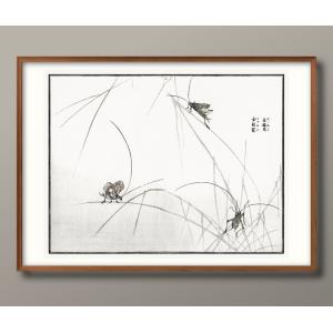 日本製 ポスター 10845 森本東子 鈴虫 マツムシ バッタ 絵画 インテリア A3サイズ アート 新築祝い ギフト 模様替え 北欧 管理ID: