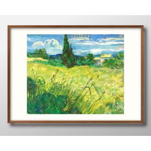 日本製 ポスター 11495 フィンセント・ファン・ゴッホ Green Field 絵画 インテリア A3サイズ アート 新築祝い ギフト 模様替え 北欧 管理ID: