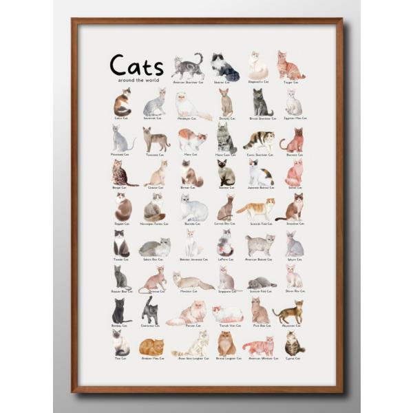 ポスター 猫 ネコ 図鑑 品種 CAT 北欧 絵画 インテリア A3サイズ アート 新築祝い ギフト...