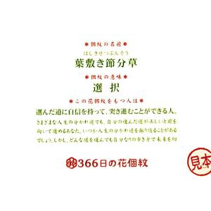 桃の節句 名入れ・家紋入れ 吉祥檜扇(はねうさ...の詳細画像4