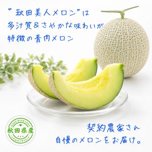 秋田美人メロン 美人レッドメロン MIX 2玉...の詳細画像1