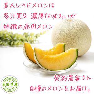 秋田美人メロン 美人レッドメロン MIX 2玉...の詳細画像2