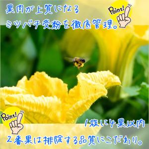 秋田美人メロン 美人レッドメロン MIX 2玉...の詳細画像3