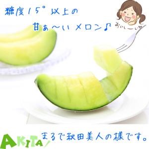 秋田美人メロン 美人レッドメロン MIX 2玉...の詳細画像4