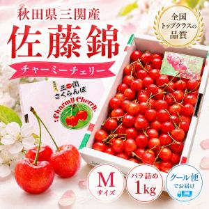 久月・吉徳 五月人形 通販 創業八十年 桜竹 - Yahoo!ショッピング