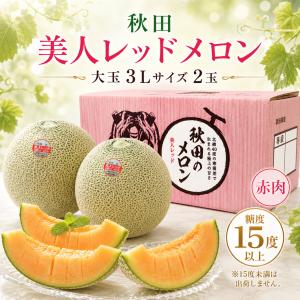 一果相伝 マスクメロン 1玉 高知産 約1.8kg以上 : 果物専門店