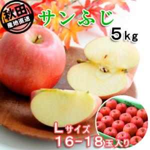 秋田県産 りんご サン ふじ 5kg Lサイズ 16〜18玉 出荷期間:11月下旬〜12月中旬 お届...