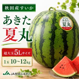 送料無料 花山椒 約100g 産地直送 奈良県産 奈良県 奈良 サンショウ