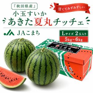送料無料 花山椒 約100g 産地直送 奈良県産 奈良県 奈良 サンショウ