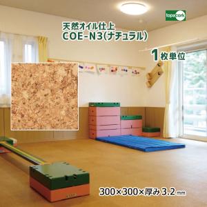 ワンダエドワーフ　コルク材付き 2025.7/15〜】コルク付ビカクシダ P wandae dwarf（TC） | IMAMA