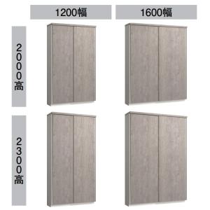引き戸ユニット 1600幅 2300高 玄関収納 大建工業 引き戸ユニット ソリッド調 天袋 シューズ収納 ロング収納a 天袋 シューズ収納 ロング 収納a ソリッド調 Fmw81s36 S お家王国 ハピア