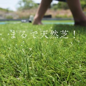 高品質人工芝 Eternal Turf(エター...の詳細画像1