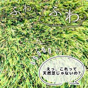 高品質人工芝 Eternal Turf(エター...の詳細画像3
