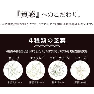 高品質人工芝 Eternal Turf(エター...の詳細画像4