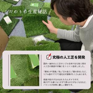 高品質人工芝 Eternal Turf(エター...の詳細画像5