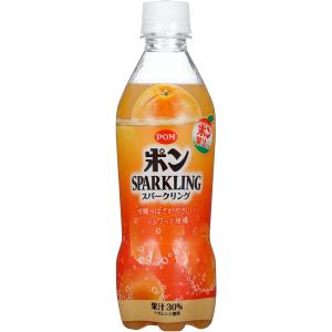 (2ケースセット)えひめ飲料　POM ポンスパークリング 410ml ×48本　送料無料