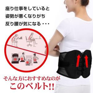 ガードナーベルト 腰サポーター 骨盤ベルト 骨...の詳細画像1