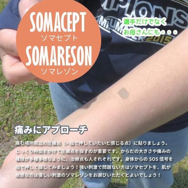 ソマセプト　ソマレゾン　SOMACEPT　SOMARESON　マイクロコーンケア　東洋レヂン株式会社
