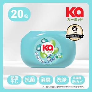 カーポッド(Ka) 部屋干しEX ボール型洗濯洗剤 フレッシュハーブ 本体