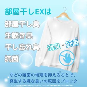 洗濯洗剤 カーポッド 部屋干しEX ジェルマジ...の詳細画像5