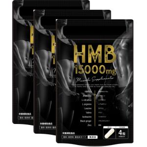 ＨＭＢ１５０００ 燃焼成分ブラックジンジャー・ シトルリン βーアラニン アルギニン BCAA 亜鉛 贅沢配合 お得な3袋セット約3ヶ月分