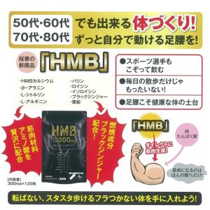 HMB15000 燃焼成分ブラックジンジャー・...の詳細画像3