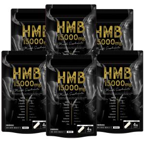 公式ショップ 正規品 3袋セット ボディマスター BODYMASTER HMB NMN