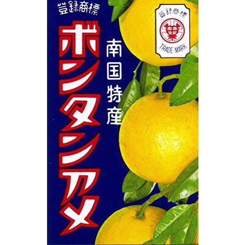 セイカ食品 ボンタンアメ 10粒×10箱