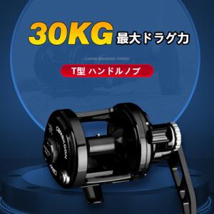 DAIWA(釣り) ダイワ 18 ジリオン TW HD 1520HL / ZILLION DAIWA(釣り) ダイワ 18 ジリオン TW HD 1520HL / ZILLION