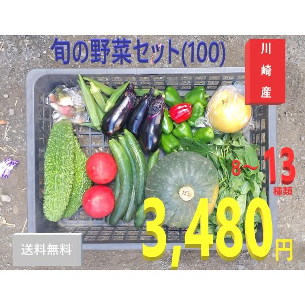 旬の野菜セット100（たっぷり8〜13種）