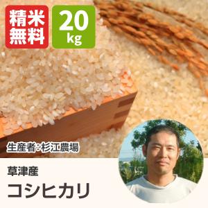 コシヒカリ(杉江農場) 20kg 令和3年 滋賀県産 近江米 - 道の駅草津
