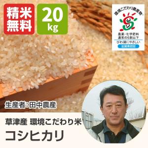 環境こだわり米コシヒカリ(田中農産) 20kg 平成29年 ...