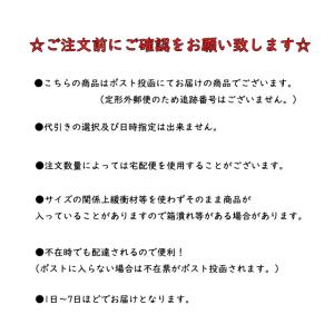 こま 手回しゴマ 木製 無着色 φ58 こども...の詳細画像2