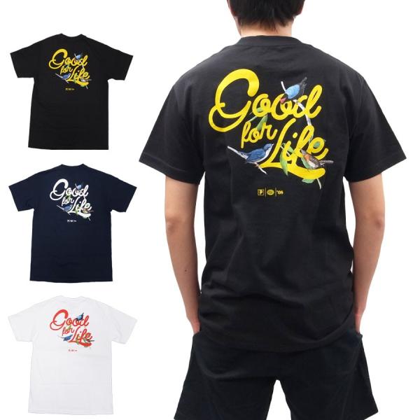 PRIMITIVE プリミティブ NATIVE TEE 3色 半袖Tシャツ カットソー トップス 黒...