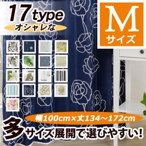 ブラス Marestia マレスティア ソードフィッシュ セイルフィッシュ