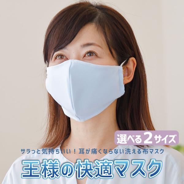 マスク 日本製 夏用 1枚 洗える 東洋紡ドライアイス素材 王様の快適マスク フィルターポケット付